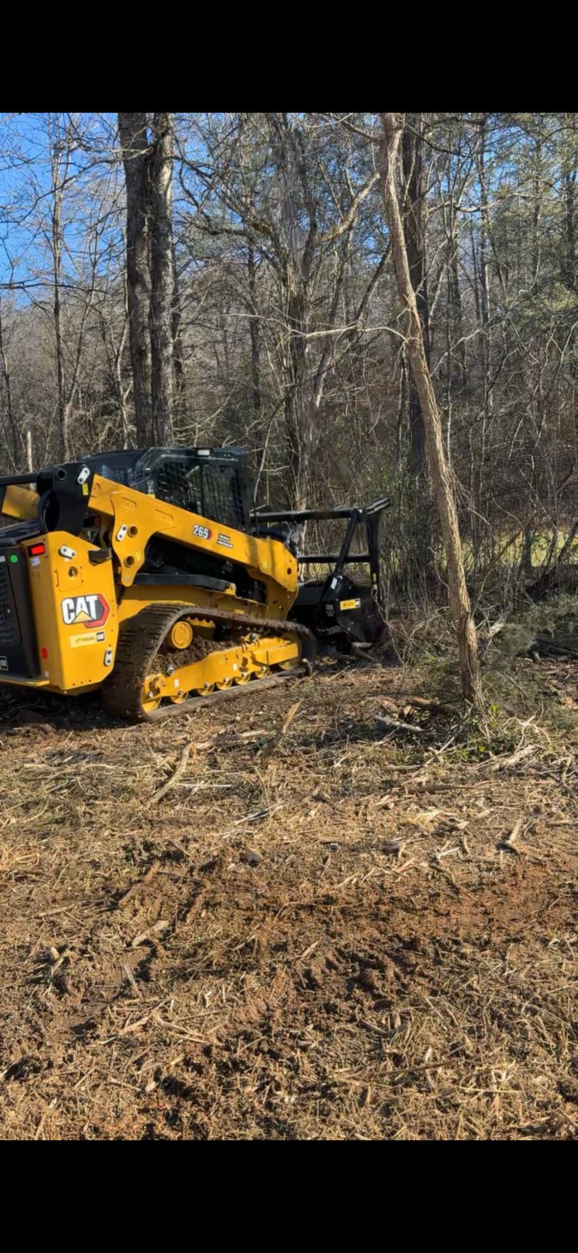 Forestry Mulching