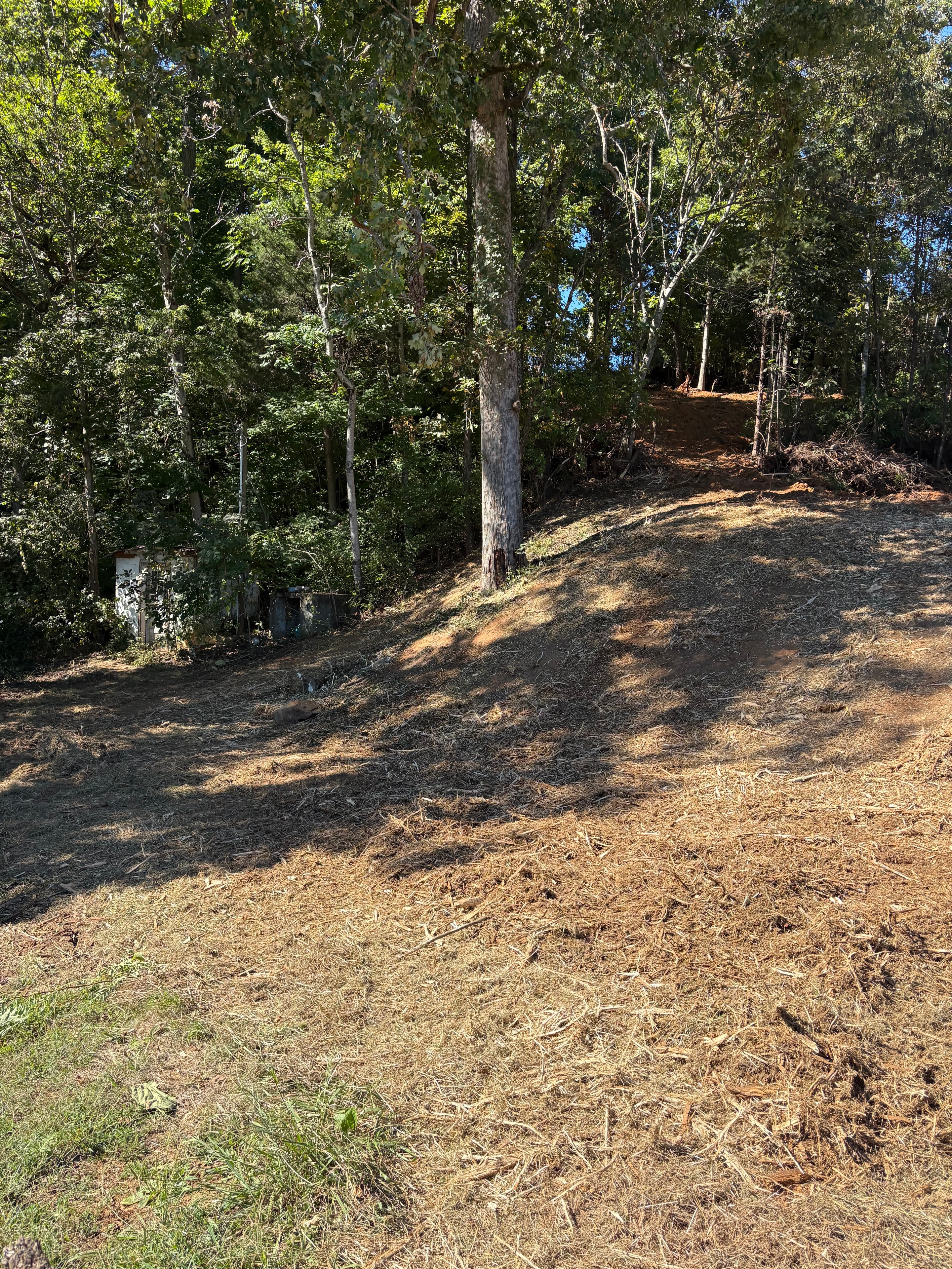 Land Clearing