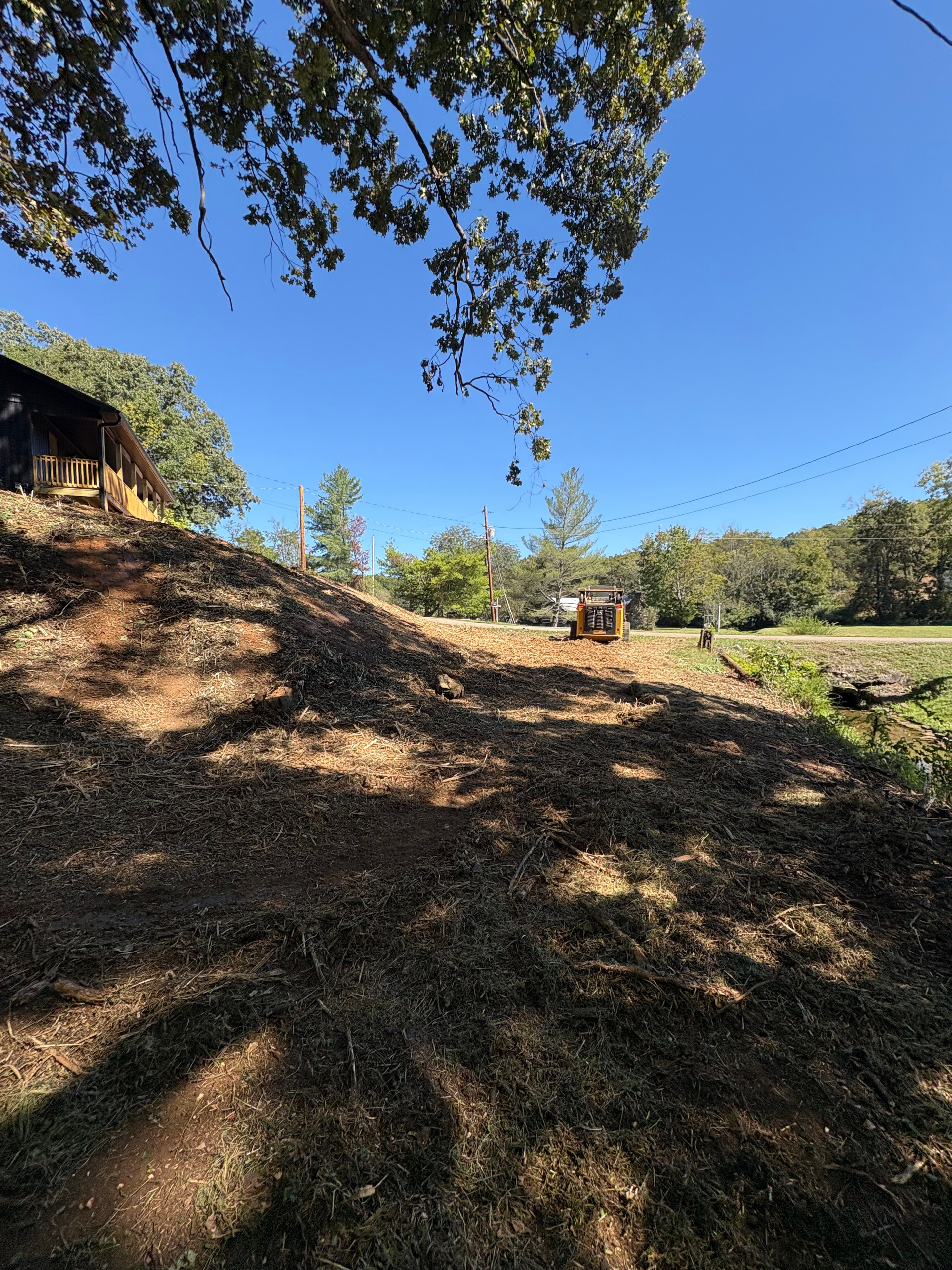 Forestry Mulching Overgrown Hillside